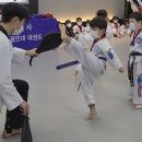 용인대 참사랑 태권도 이미지
