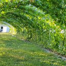 가신원통길 이미지