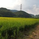 황제2공인중개사사무소 이미지