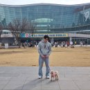 디저트댕 이미지