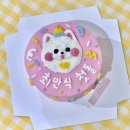 펫스튜리(petschurri) 이미지