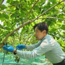 이상재농장 이미지