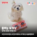 안녕, 내강아지 | 강아지자연식 도기넛 | 저지방 캥거루 로우팻 화식 내돈내산 솔직후기