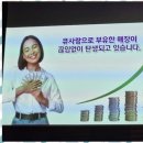 마임울산천상지사 | 천연염색 자신감 넘치는 새출발, 건강한 염색 창업 후기