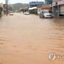 거진시내 이미지