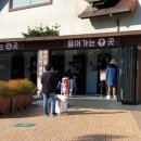 고창타조농장 | [공지] 안성팜랜드 핑크뮬리 예쁜사진 남긴 가을여행!
