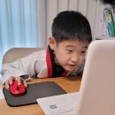 트리컴