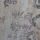 티티랜드 | msi모니터, 타코찡, 왕뚜껑 라볶이, 온빛자연휴양림, 티앤트리 티티, 빠스타스 가든플레이스, 애버랜드)