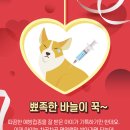 방학동물병원 이미지