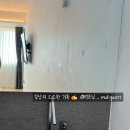 몬테드해머리 이미지