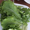 코이노니아 이미지