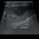 더블리스동물의료센터 이미지