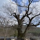 곰소모텔 | 전북 부안 내변산 최단코스 및 등산 시간