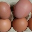 유나네 자연숲 농장 이미지