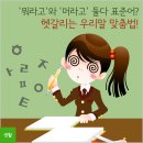 `뭐라고`와 `머라고` 둘다 표준어? 헷갈리는 우리말 맞춤법! 이미지