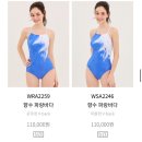 빅펀 | 후그 수영복 내돈내산 후기 빅사이즈 여자 실내 수영복
