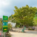 수성그린비 이미지