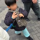 버스터미널관광안내소 | 제주항공, 간사이국제공항 2터미널, 난바행리무진버스, 난바관광안내소, 구로몬시장, 아파트먼트 호텔 11