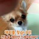 강아지를찾습니다/치와와/암컷/서울시 동대문구 전농동 래미안크레시티아파트 이미지