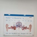 우리동네보청기 더블유청각연구소 부산센터 이미지