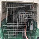 태백동행정복지센터 이미지