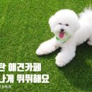 리츠펫 동탄능동점 이미지