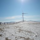 고마산악회 12월 선자령 정기산행 이미지