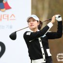 박민지 카카오 검색결과