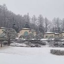 메디칼밸리 이미지