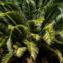 수색-005 이미지