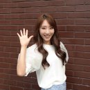 연분홍 티브이데일리