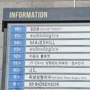 제이와이성형외과의원 | 청담역 실리프팅 기분 좋았던 상담 후기