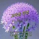 토요일 이미지