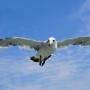 서광초교 이미지