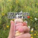 네일꽃피다 이미지