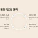 오징어천국 이미지
