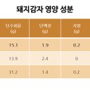 바로돼지 네이버블로그