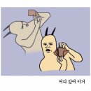 핫 독 이미지