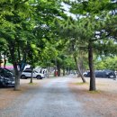 상주은모래비치캠핑장 이미지