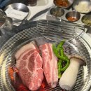 월드맛집 이미지