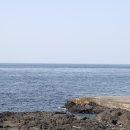 제주도배여행 마라도 가파도 정기여객선 패키지 여행 꿀팁