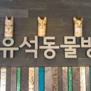 유석동물병원 이미지