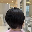 머리마을 | 운정 동패동 초롱꽃 마을 미용실 단발머리 레이어드 보브 펌 후기글 보고 방문