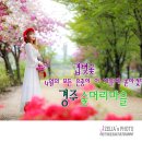 숲머리 이미지
