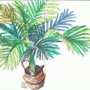 상서문로 이미지