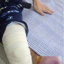 동탄고교 이미지