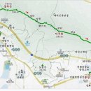 2025년 4월3일(목요일)경남 진해 장복산 벗꽃 정기산행 이미지