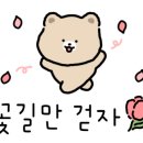 백세의료기기 이미지