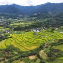 사포마을 이미지