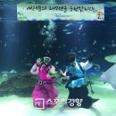 한화아쿠아플라넷 이미지